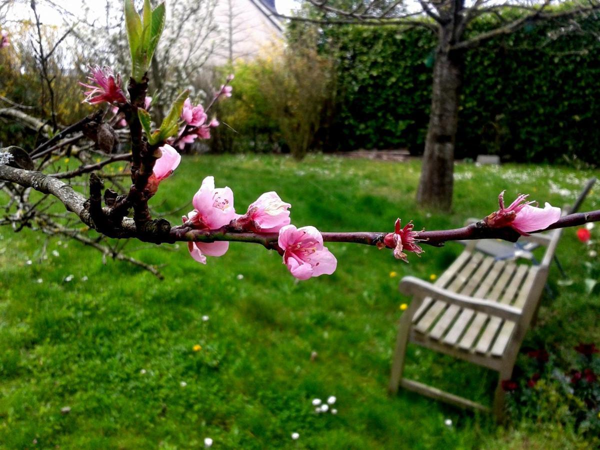 Maison La Chapelle Bed and Breakfast Exterior foto