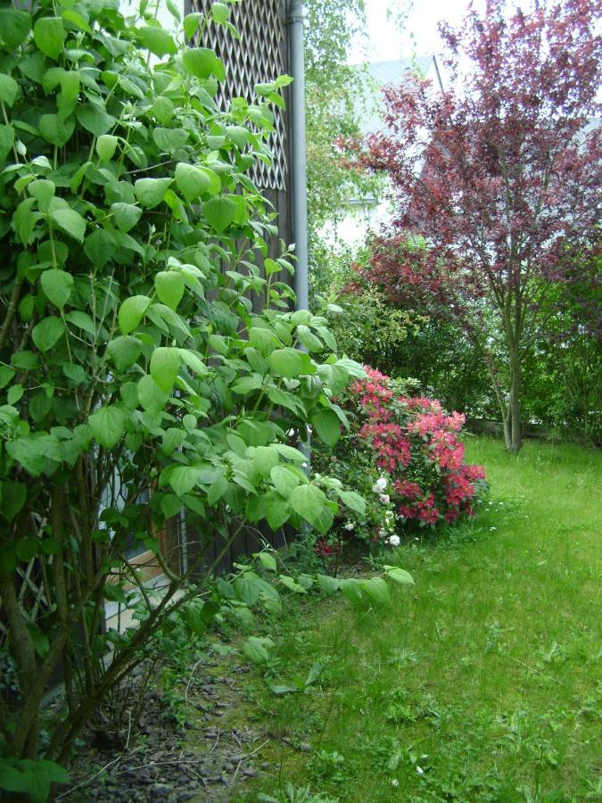 Maison La Chapelle Bed and Breakfast Exterior foto